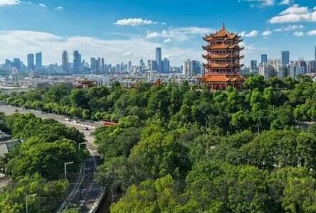 单场足球比分-单场足球比分，赛场风云的数字密码
