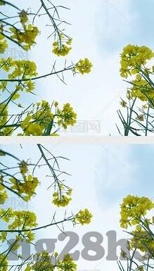 竞彩足球比分直播彩客网-竞彩足球比分直播彩客网，深度解析与体验分享