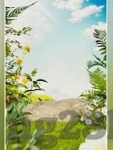 竞彩足球角球比分-竞彩足球角球比分的深度剖析，策略、数据与实战指南