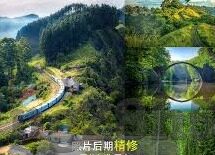 中国香港足球比分直播-香港足球比分直播，绿茵场上的激情与数字的实时交响