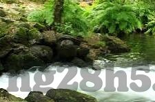 足球比分踢球者-深度剖析，足球比分背后的踢球者艺术与战术博弈