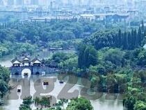 足球比分文章90-90分钟生死局，当足球比分成为全民心跳监测仪