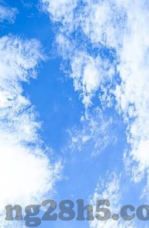 足球現場比分-足球现场比分,激情与心跳的实时交响曲